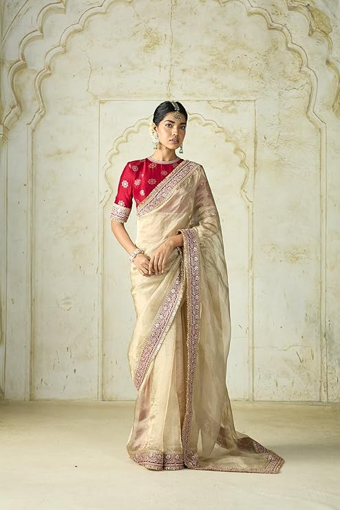 Premium Beige Net Saree with Intricate Sequin & Embroidery Work